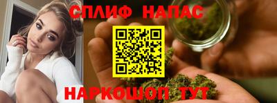 мдпв Бердск