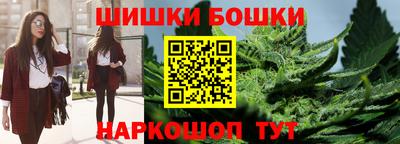 мдпв Бердск