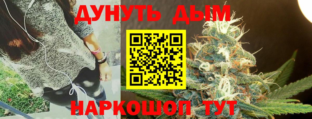 Бошки Шишки семена Ачинск